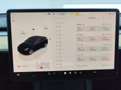 Tesla Model Y Facelift 545km Rear-Wheel Drive Edition - ფოტო 20
