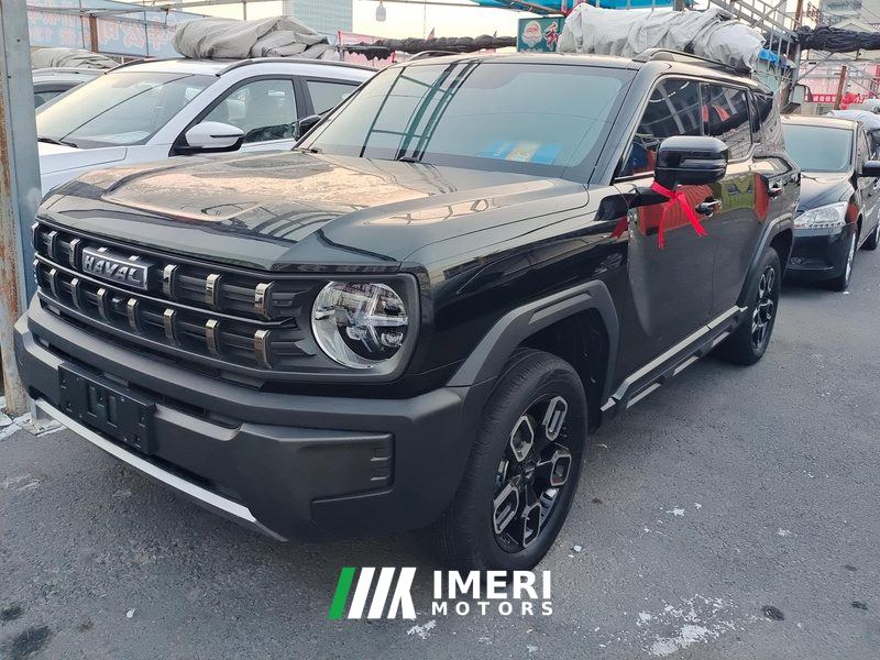 Haval Cool Dog 1.5T AWD Edition - car from China