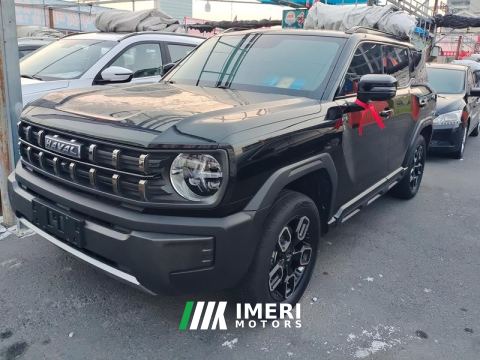 2022 Haval Cool Dog 1.5T AWD Edition - car from China