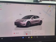 Tesla Model 3 556km Rear-Wheel Drive Edition - ფოტო 20