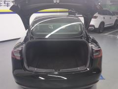 Tesla Model 3 556km Rear-Wheel Drive Edition - ფოტო 7