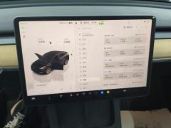 Tesla Model Y 660km Long Range AWD - ფოტო 20