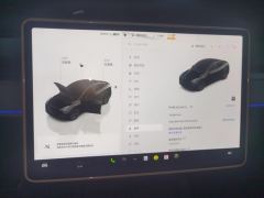 Tesla Model Y 554km Rear-Wheel Drive Edition - фото 17