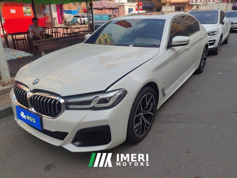 BMW 5 Series 530Li Luxury Edition Luxury Package - car from China