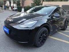 Tesla Model Y 554km Rear-Wheel Drive Edition - ფოტო 1