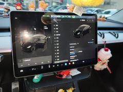 Tesla Model Y 554km Rear-Wheel Drive Edition - ფოტო 20