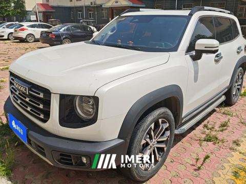 2021 Haval Great Wall Dargo Great Wall Dog 2.0T Two-wheel drive Chinese hunting dog version