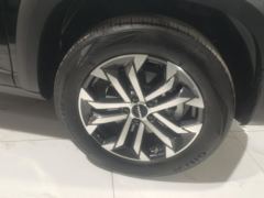 Haval Great Wall Big Dog 1.5T 2WD Labrador Edition - фото 6
