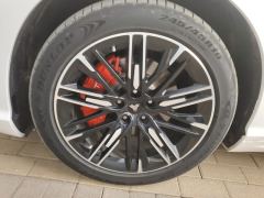 Neta S EREV Edition 310km 1160 Edition - photo 6