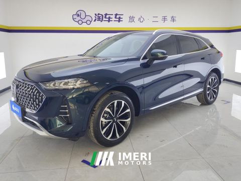 2021 Great Wall Wei Brand Mocha Fuel 2.0T AWD Edition