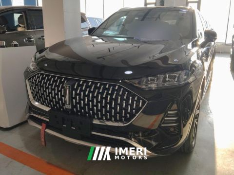 2021 Great Wall Wei Brand Mocha Fuel 2.0T AWD Edition