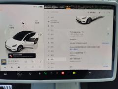 Tesla Model Y 688km Long Range AWD - ფოტო 20