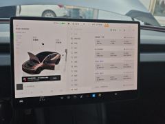 Tesla Model 3 606km Rear-Wheel Drive Edition - фото 20
