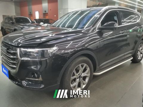 2021 Haval H6 Guochao Edition 1.5T 2WD Champion Edition