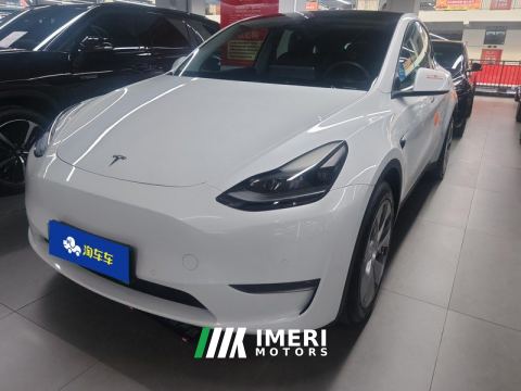 2021 Tesla Model Y Standard endurance rear-wheel drive - автомобиль из Китая