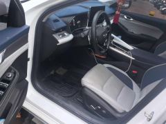 Geely Xingui Xingrui 2.0T Prestigious Edition - ფოტო 14