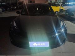 Tesla Model 3 Standard Range Edition 3D6 - фото 3