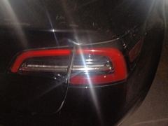 Tesla Model 3 Standard Range Edition 3D6 - фото 5