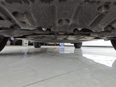 BYD Haima Lion 05EV 520km Edition - photo 9