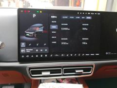 Li Auto L9 Pro - ფოტო 20