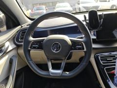 BYD Qin PLUS DM-i 120km Prestigious Edition - ფოტო 18