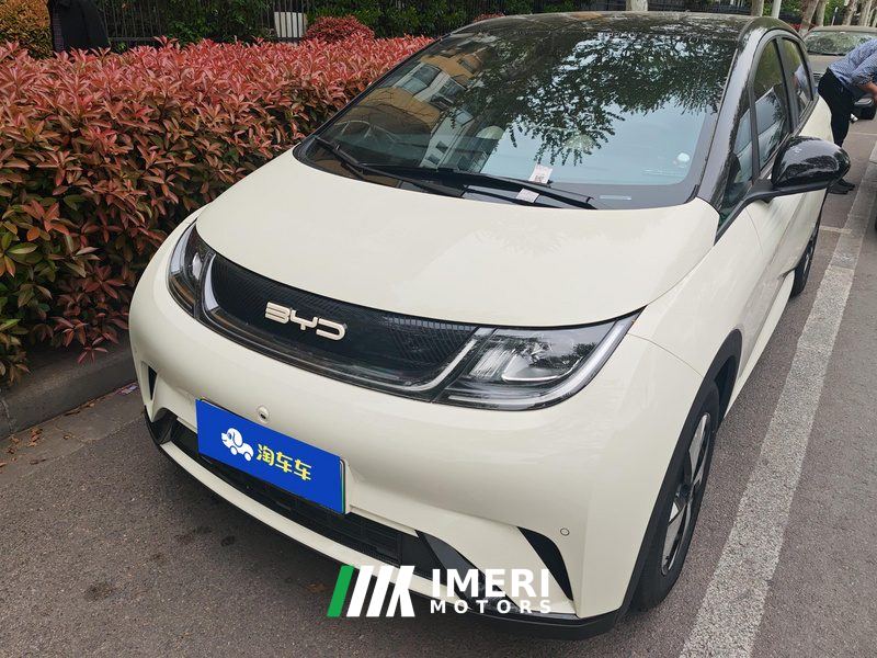 BYD Dolphin 420km Stylish Edition - car from China