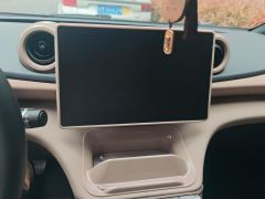 BYD Dolphin 420km Stylish Edition - photo 17