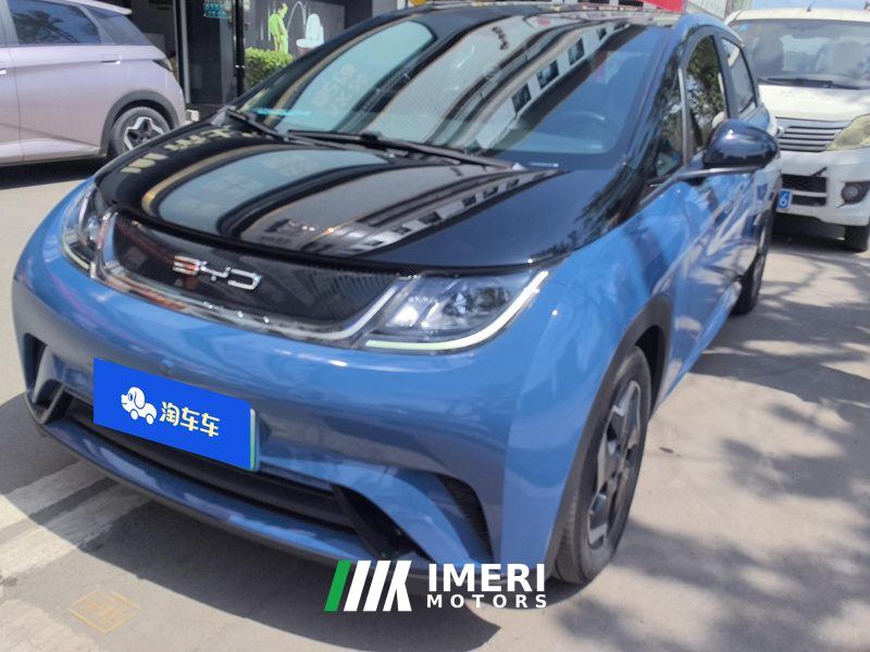 BYD Dolphin 405km Stylish Edition - car from China