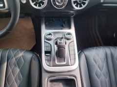 Tank 300 Off-Road Edition 2.0T Challenger - photo 19