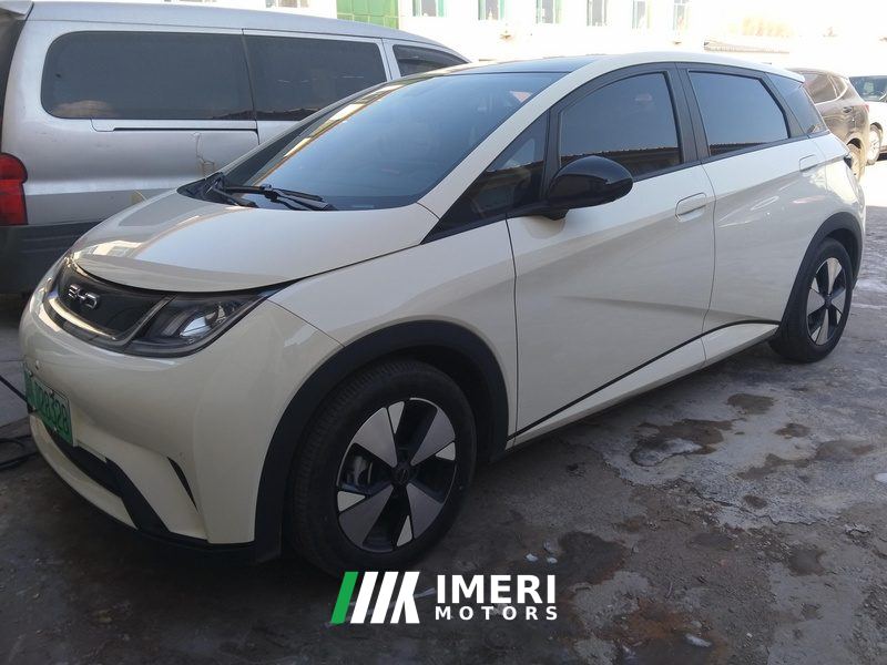 BYD Dolphin 420km Stylish Edition - car from China
