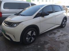 BYD Dolphin 420km Stylish Edition - photo 1
