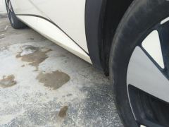 BYD Dolphin 420km Stylish Edition - photo 11