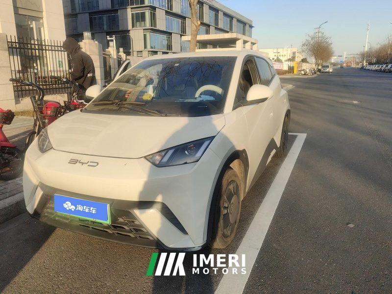 BYD Seagull 305km Vitality Edition - ავტომობილი ჩინეთიდან