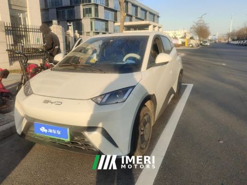 2023 BYD Seagull 305km Vitality Edition - car from China