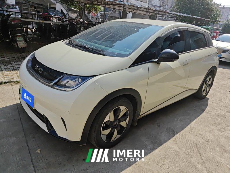 BYD Dolphin Honor Edition 420km Free Version - ავტომობილი ჩინეთიდან