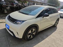 BYD Dolphin Honor Edition 420km Free Version - ფოტო 1
