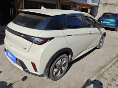 BYD Dolphin Honor Edition 420km Free Version - ფოტო 2