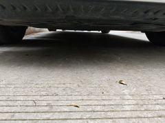 BYD Qin L DM-i 1.5L 120km Leading Edition - ფოტო 8