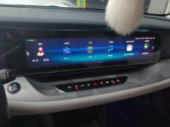 Arcfox Alpha-S 708S 160kW - ფოტო 17