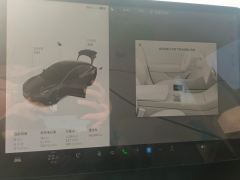 Tesla Model 3 556km Rear-Wheel Drive Edition - ფოტო 20