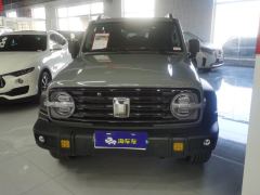 Tank 300 Off-Road Edition 2.0T Conqueror - ფოტო 3