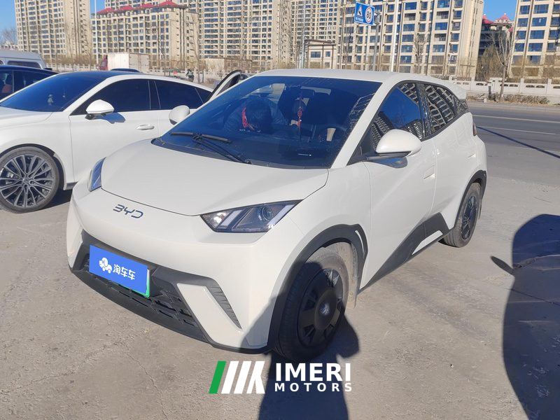 BYD Seagull 305km Vitality Edition - ავტომობილი ჩინეთიდან
