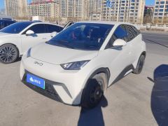 BYD Seagull 305km Vitality Edition - ფოტო 1