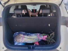BYD Seagull 305km Vitality Edition - ფოტო 7