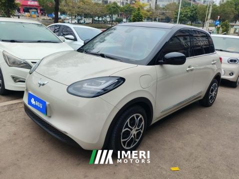 2023 Wuling Bingo Binguo 333km Joy Edition - car from China