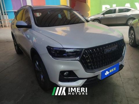 2021 Haval H6 Guochao Edition 1.5GDIT 2WD Champion Edition - ავტომობილი ჩინეთიდან