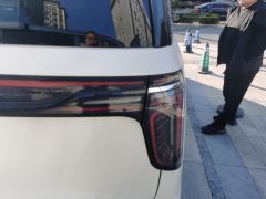 Hongqi HQ9 2.0T Smart Connected Premium Edition - photo 5