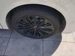 Hongqi HQ9 2.0T Smart Connected Premium Edition - photo 6