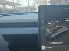 Tesla Model 3 606km Rear-Wheel Drive Edition - фото 19