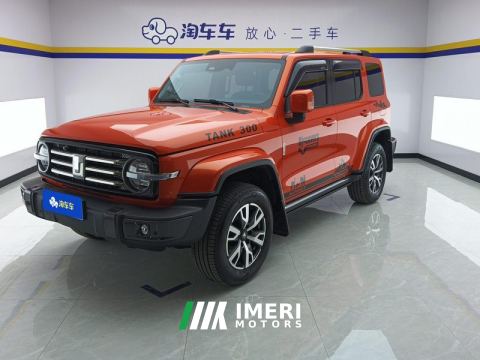 2021 Tank 300 City Edition 2.0T Stylish - car from China